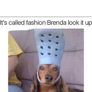 Meet your Posher, Kendall